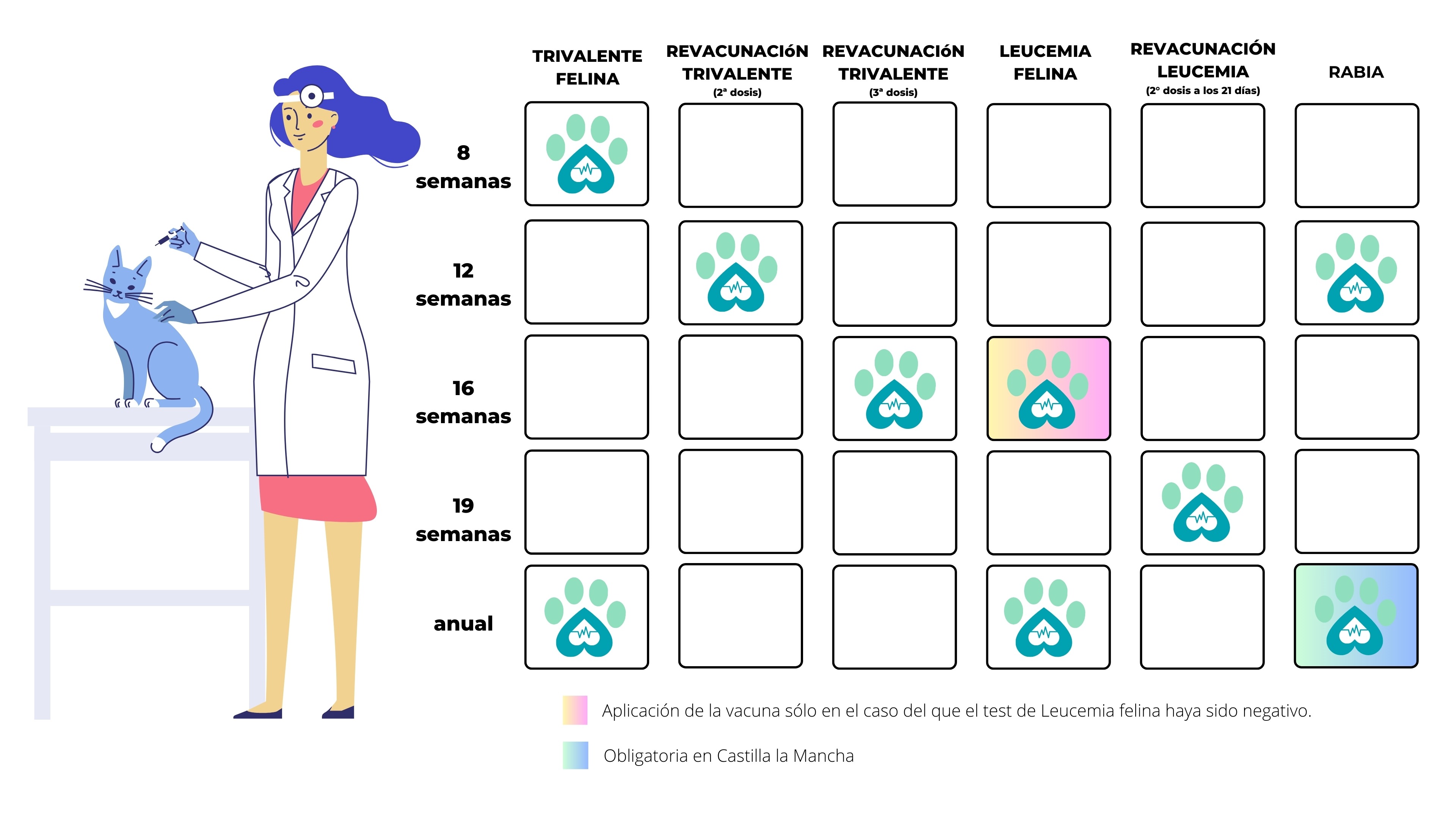 calendario-vacunaciones-de-gatos-clinica-en-guadalajara