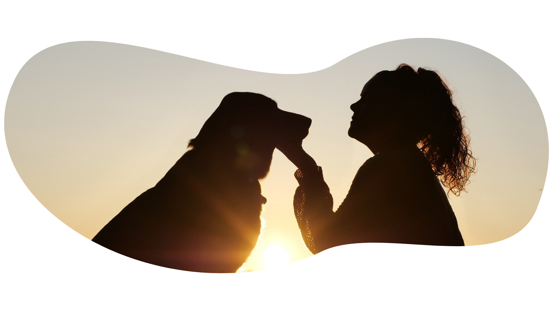 clinica-veterinaria-ocaña-mi-mascota