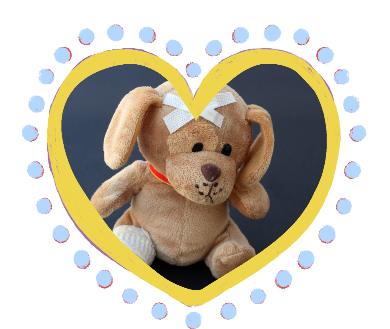 eutanasia-clinica-veterinaria-en-guadalajara